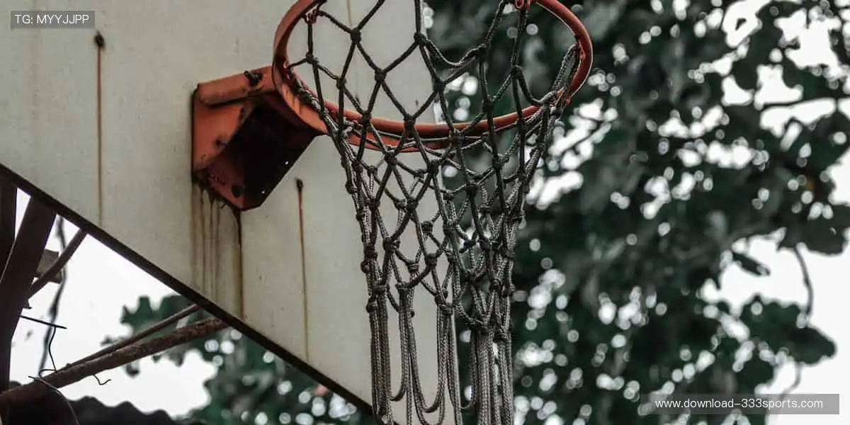 🏀全明星阵容，震撼来袭！篮球联赛官网，每一场都是视觉盛宴！🎯💥